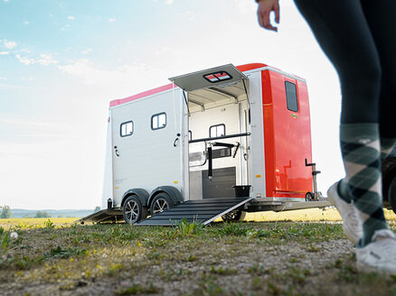 Cheval dans un Humbaur Notos | © Humbaur GmbH Le cheval marron est dans le van Humbaur Notos. | © Humbaur GmbH