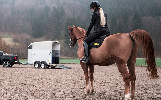 Reiterin und Pferd | © Humbaur GmbH Rückansicht: Reiterin und Pferd | © Humbaur GmbH