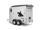 Areion Pure Western