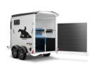 Areion Pro Western