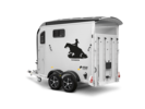 Areion Pro Western
