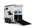 Areion Pro Western