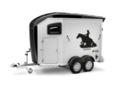 Areion Pure Western