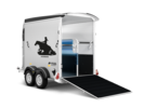 Areion Pure Western