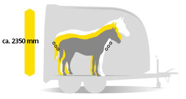 EquiSpace