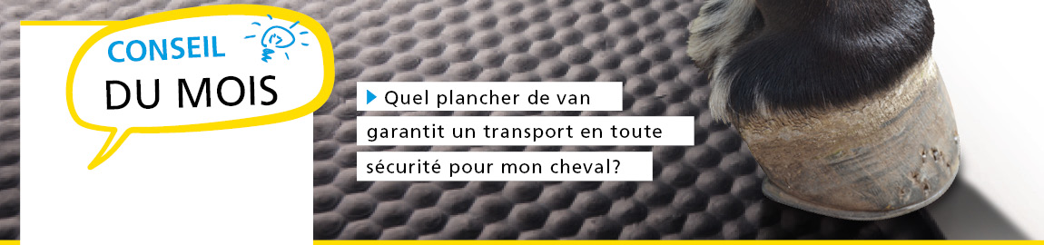 Quel plancher de van garantit un transport en toute sécurité pour mon cheval ?