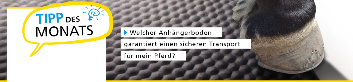 Tipp des Monats März Unterschiede von Pferdeanhängerböden Holzboden und Alubicompboden